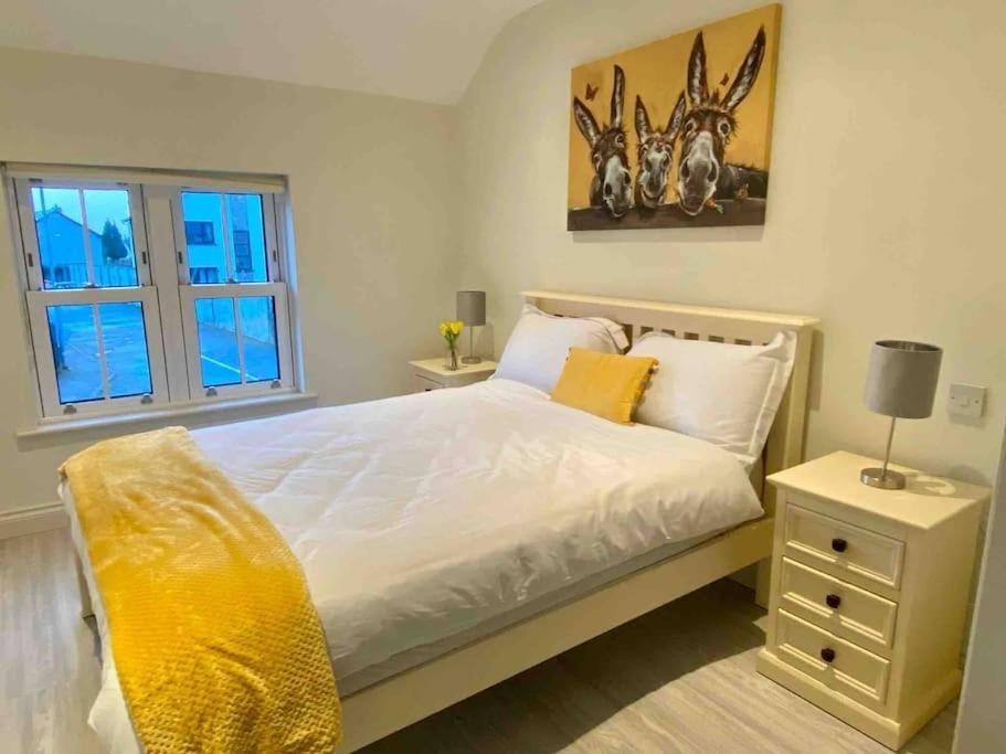 Modern Family Home Castleisland Zewnętrze zdjęcie